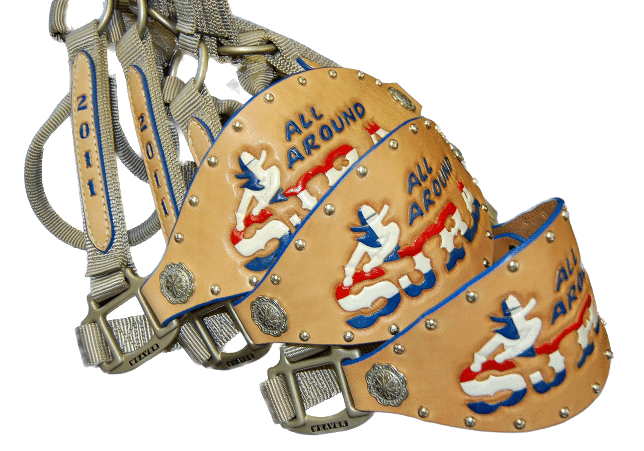 This is a sample of award halters made with our Bronc Style nose band blanks.