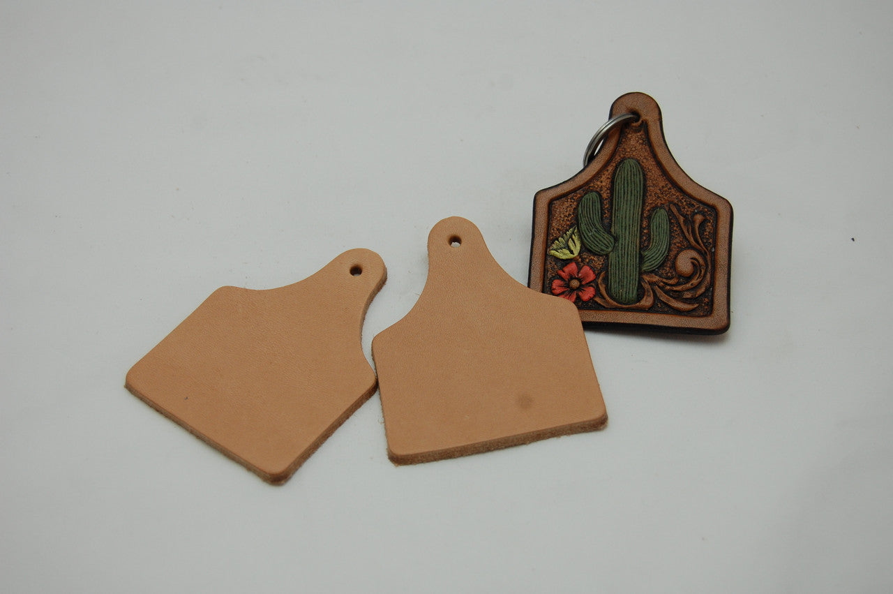 Bulk Large Ear Tags (10 pack)